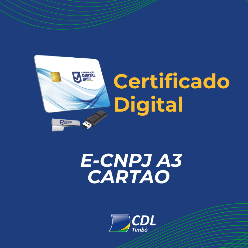 E-CNPJ A1 - 1 ANO